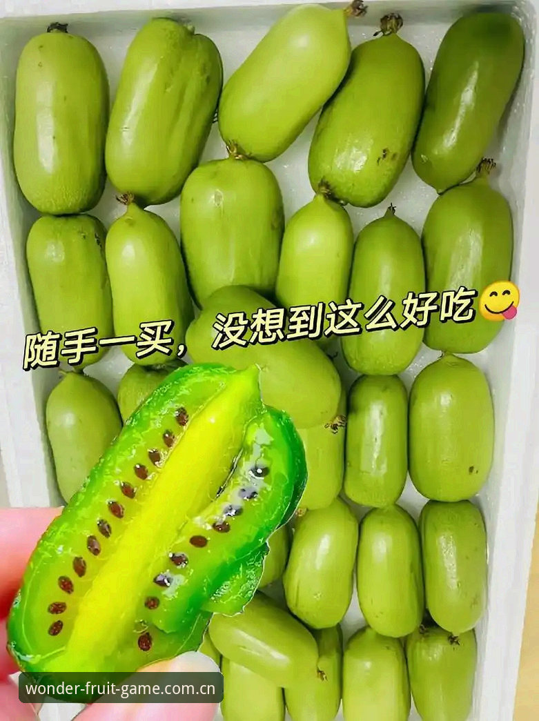 奇异果体育安装包 奇异果体育安装包最新动态:v2.2.1版本升级带来48.6MB流畅体验,直播平台数据解析