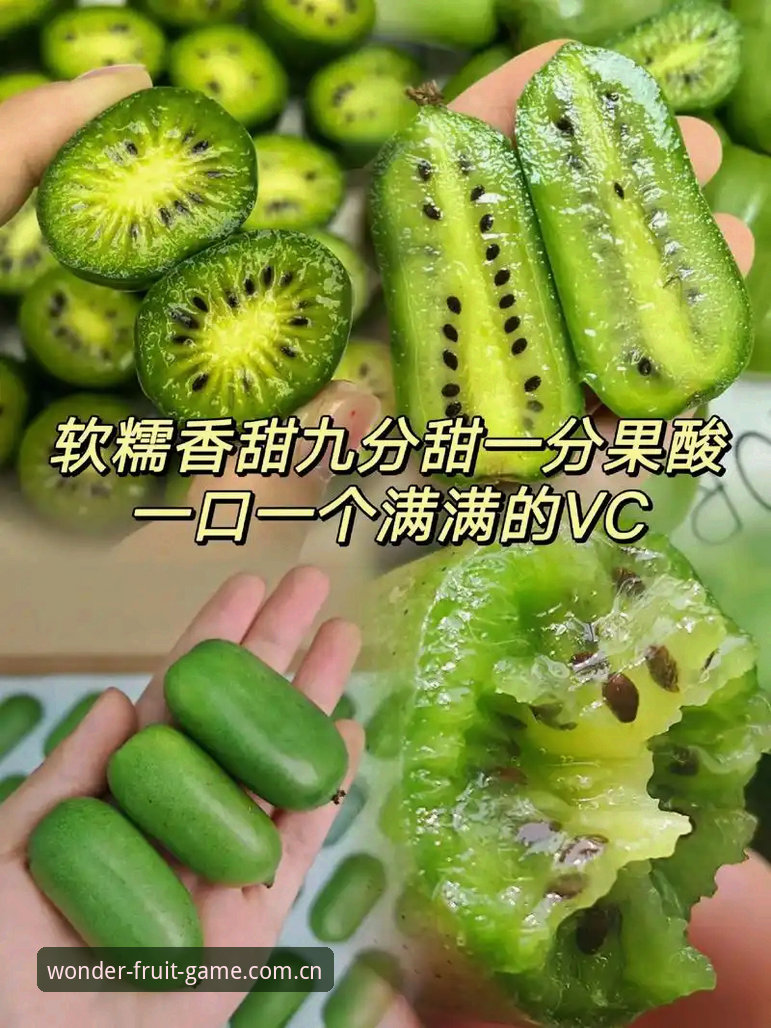 奇异果体育更新v2.3.0究竟带来了哪些突破性体验？