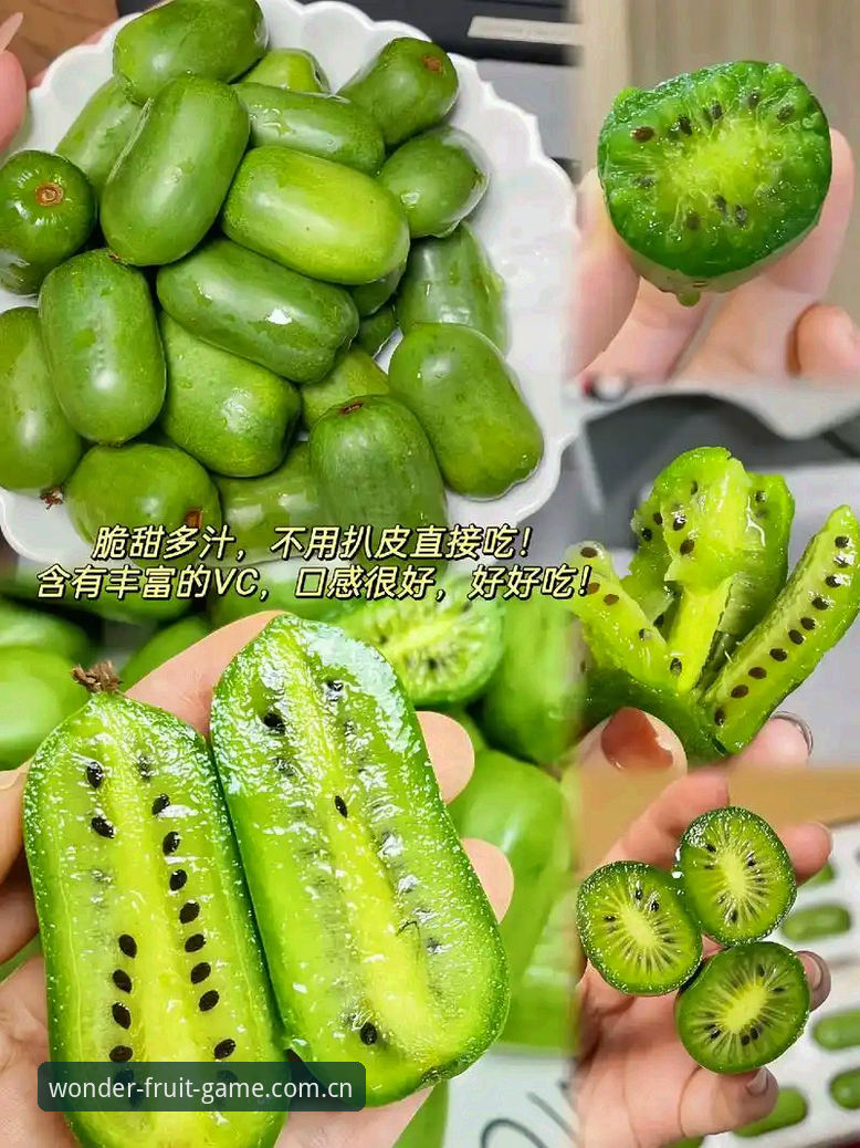 奇异果体育更新 掌握奇异果体育更新的实用技巧:从下载到安全使用全攻略