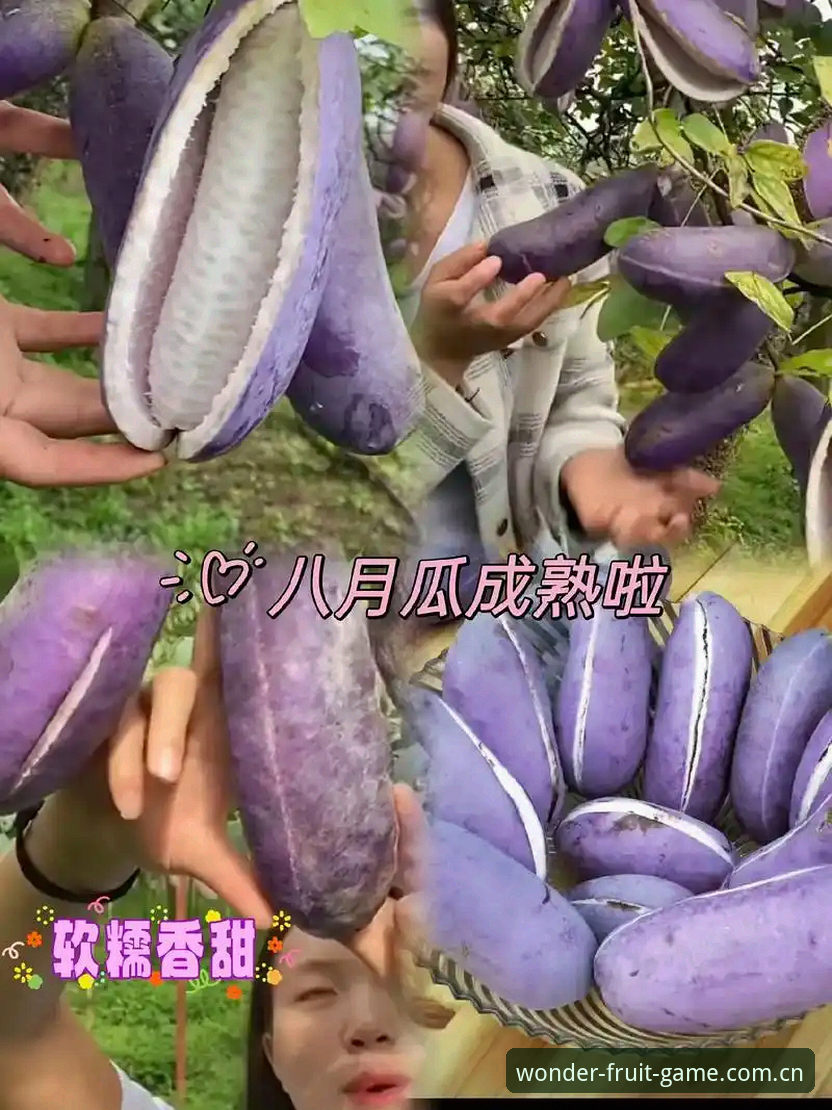 奇异果体育更新v2.3.0究竟带来了哪些突破性体验？