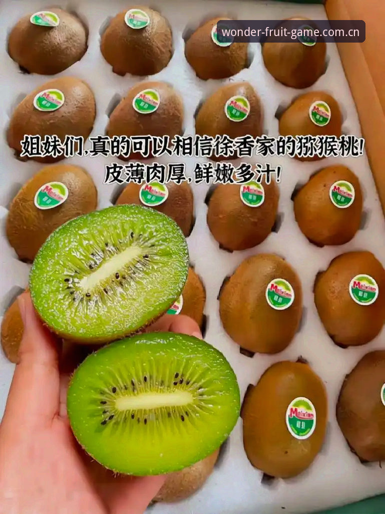 奇异果体育登录 vs 传统体育平台：哪家更符合新一代用户需求？